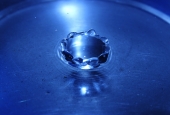 IIP Online Student Photography